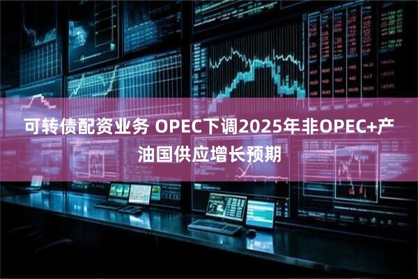 可转债配资业务 OPEC下调2025年非OPEC+产油国供应增长预期